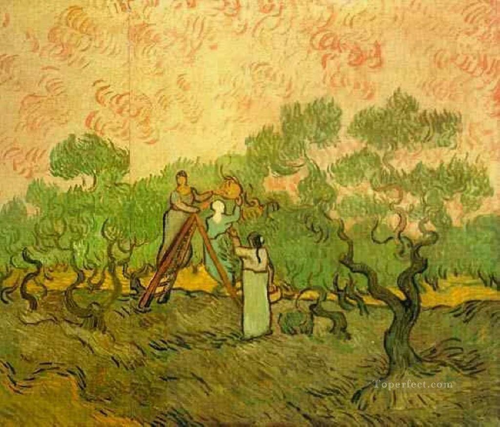 Olive Picking Vincent van Gogh Oil Paintings